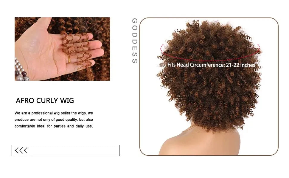 Short Afro Kinky Curly Synthetic Wig with Bangs for Daily Hair Styling - 10