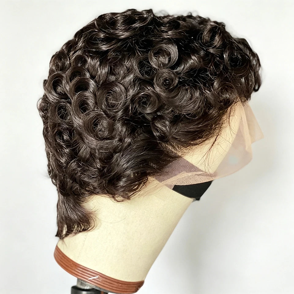 Short Pixie Cut Human Hair Lace Front Wig