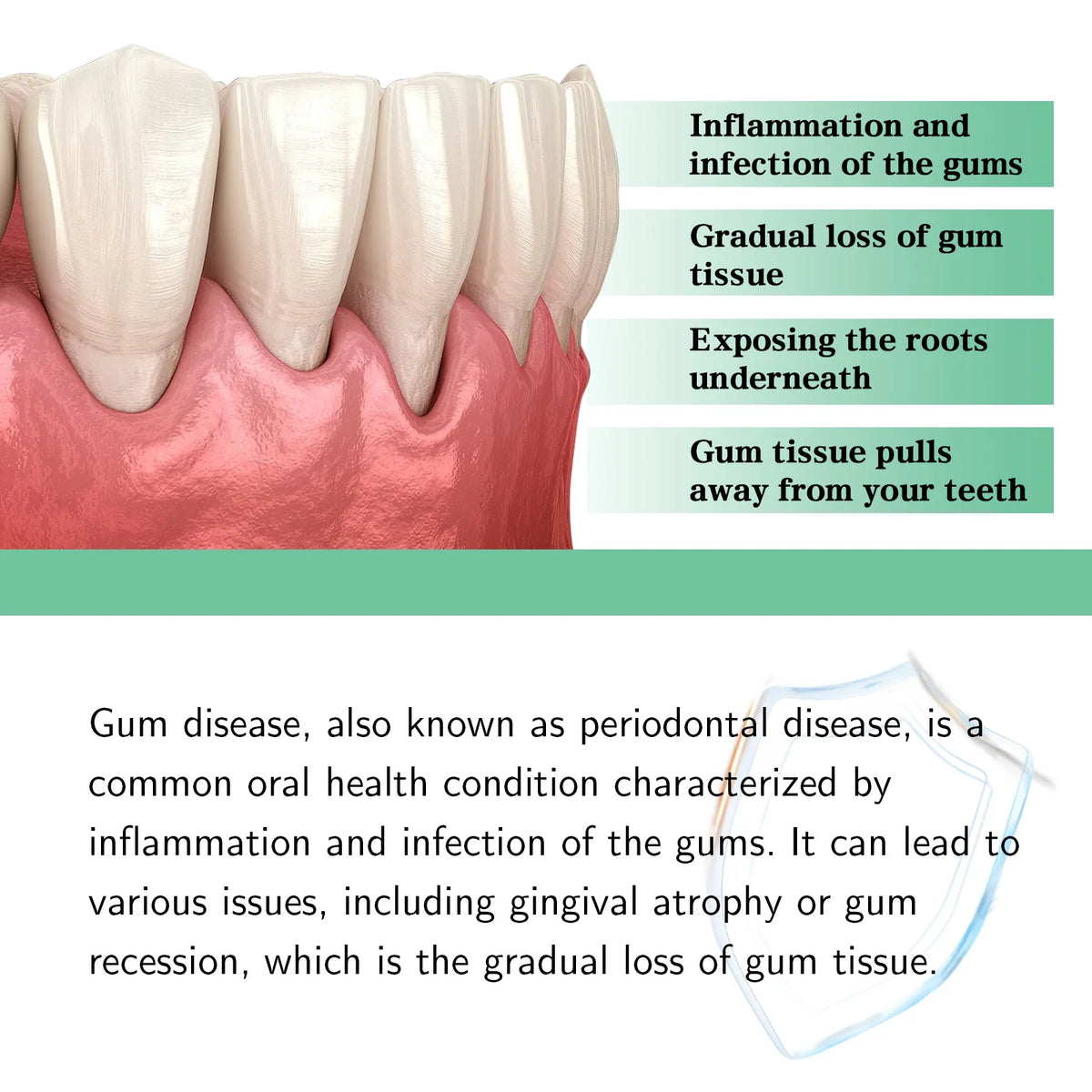 Natural Herbal Toothache and Gum Relief Drops for Oral Health Care