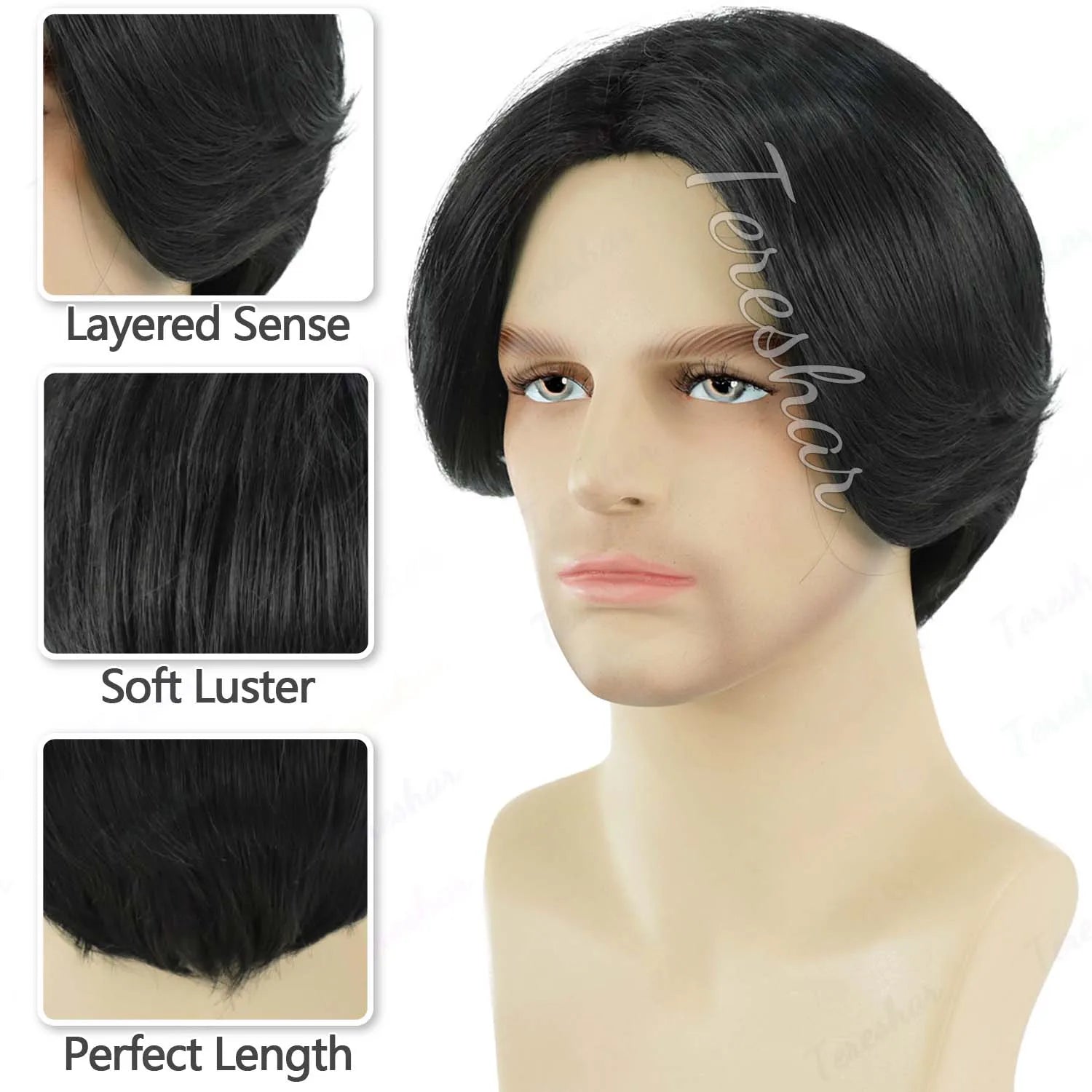 Short Straight Layered Wig for Men for Daily Wear and Cosplay Parties - 4