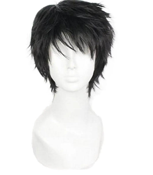 Short Fluffy Layered Cosplay Wig for Men