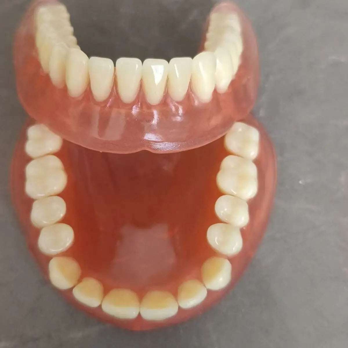 Full Mouth Denture Care Set with Storage Case and Cleaning Tools