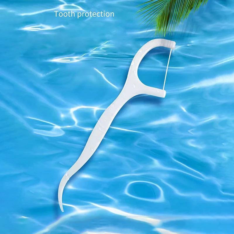 Portable Dental Floss Picks with Storage Case for Daily Oral Hygiene