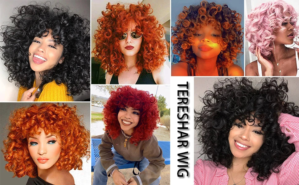 Short Curly Afro Wig for Daily Wear Natural Synthetic Hair - 10