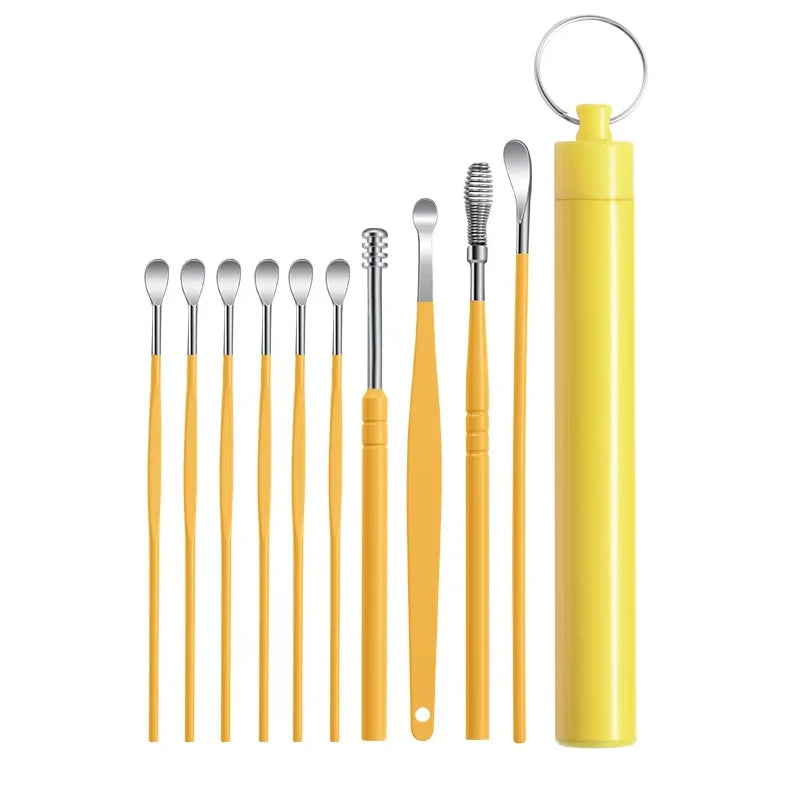 Professional Stainless Steel Ear Wax Removal Cleaning Tool Kit - 21