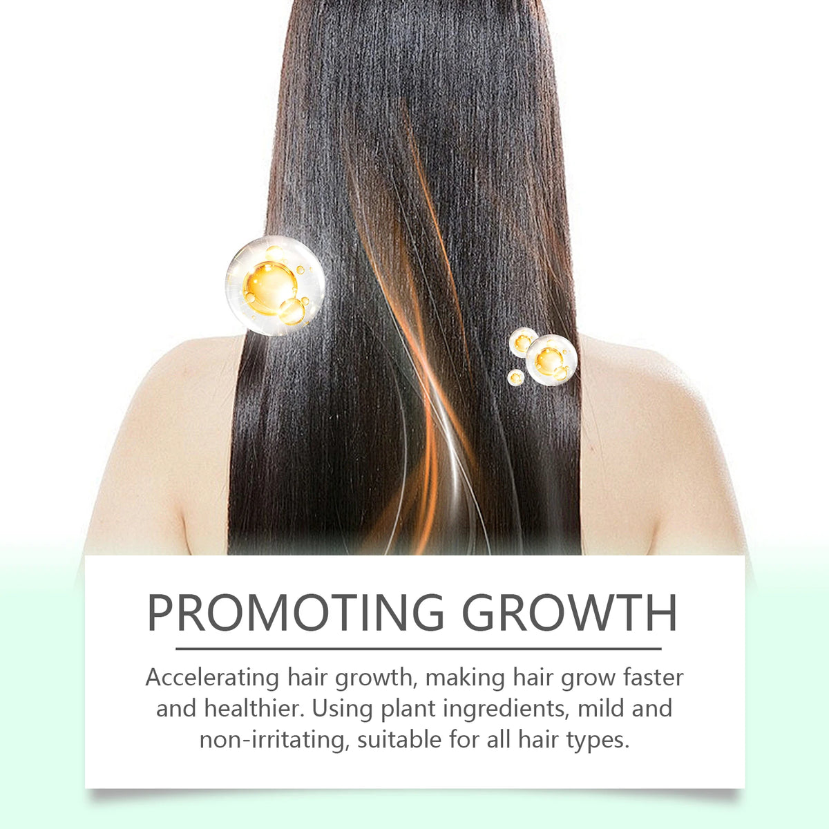 Rosemary Hair Growth Oil for Scalp Treatment and Thickening