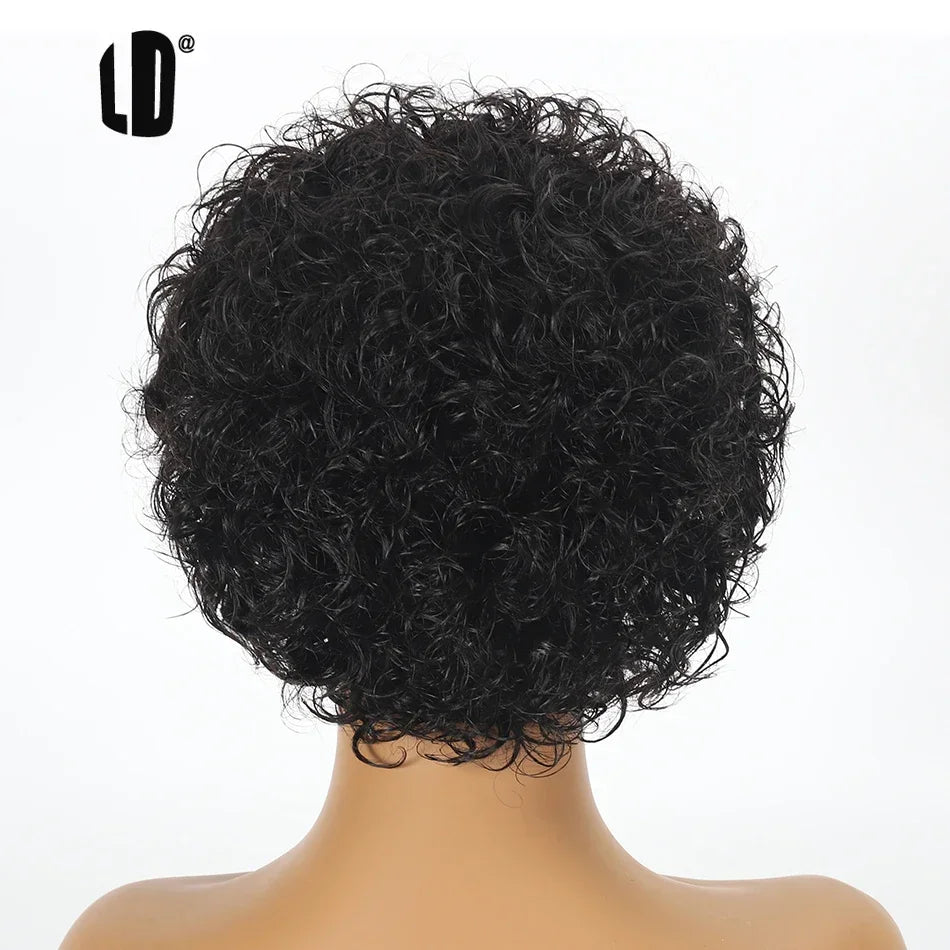 Short Curly Pixie Cut Human Hair Lace Front Wig - 3