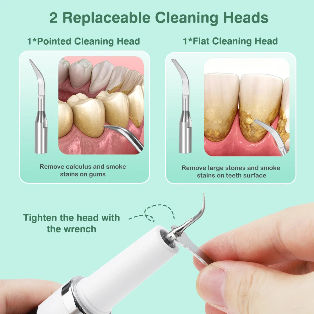 Ultrasonic Electric Dental Scaler for Professional Teeth Tartar Removal