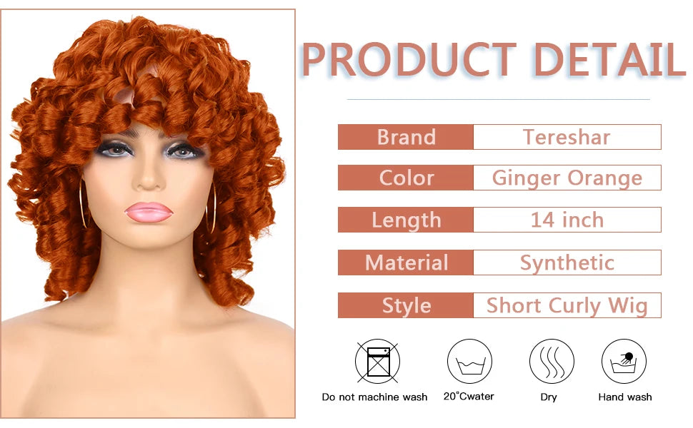 Short Curly Afro Wig for Daily Wear Natural Synthetic Hair
