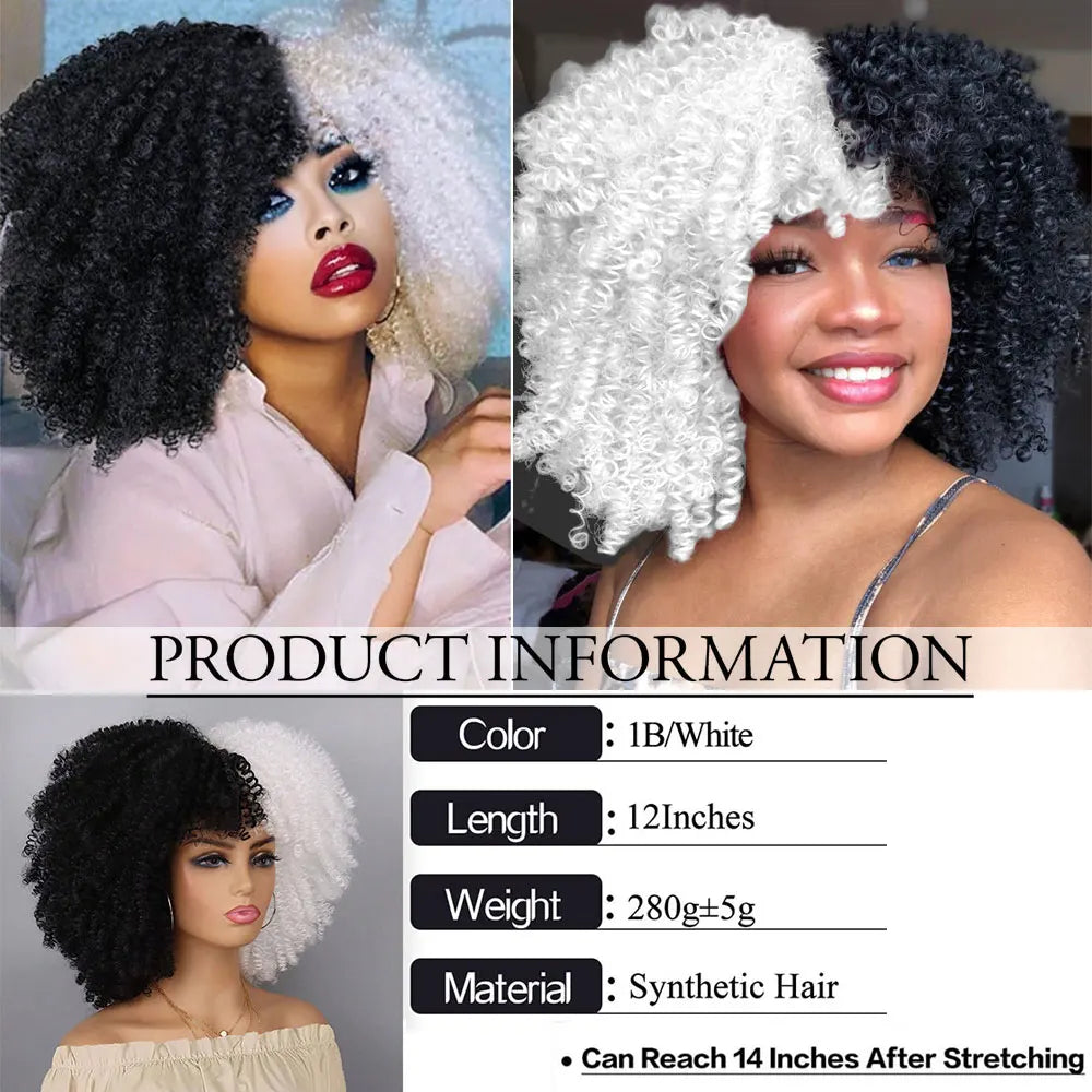 Black and White Two-Tone Synthetic Wig for Cosplay and Party - 12