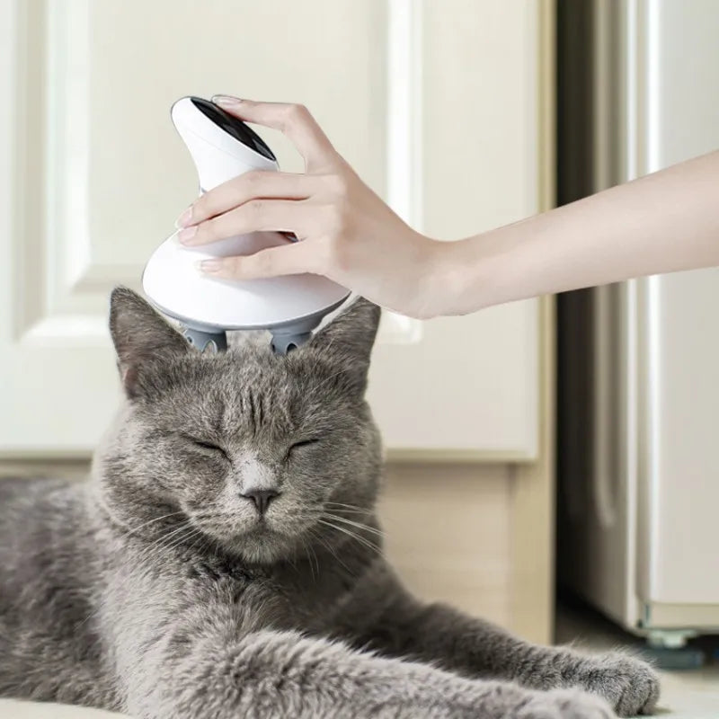 Electric Scalp Massager for Stress Relief and Hair Care